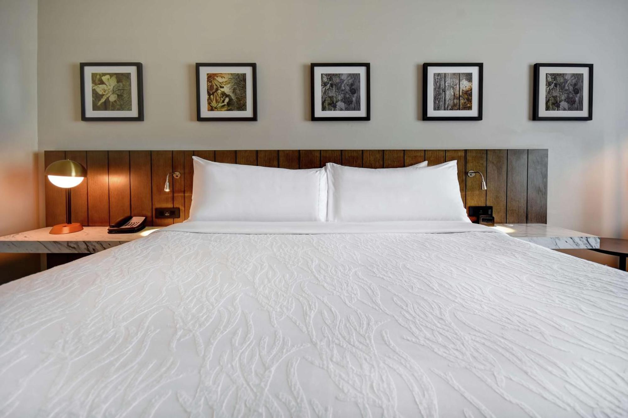 Hilton Garden Inn Jackson Exteriör bild
