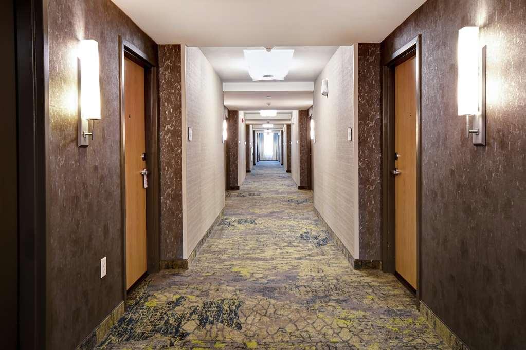 Hilton Garden Inn Jackson Bekvämligheter bild
